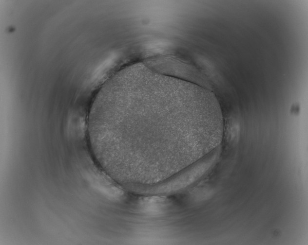 X0000112390716200909101411
