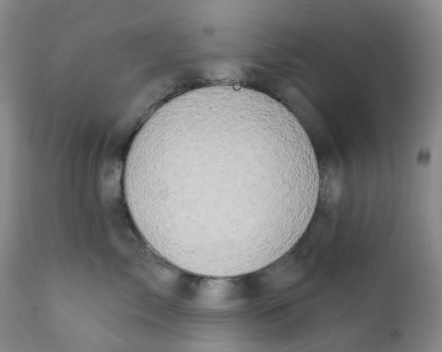 X0000112390717200909101411