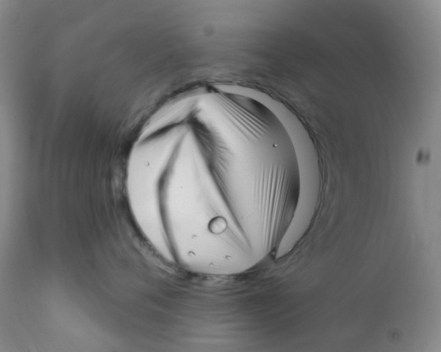 X0000112390720200909101411