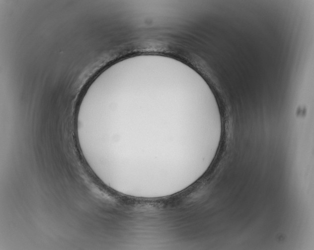 X0000112390721200909101410