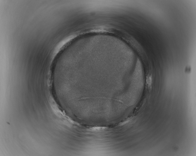 X0000112390724200909101410