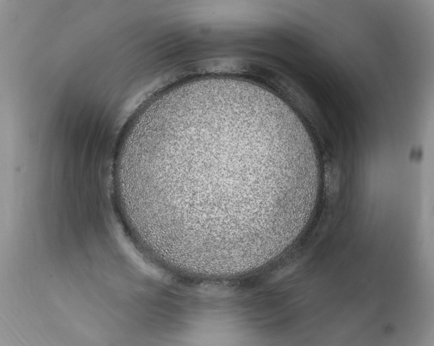 X0000112390725200909101410