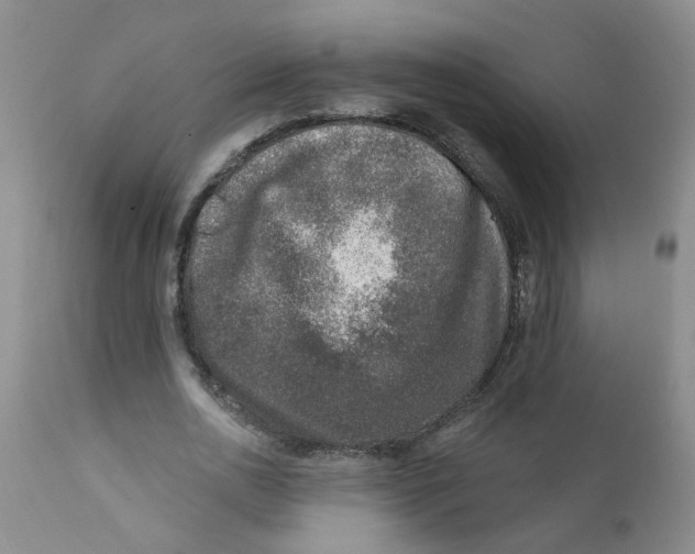 X0000112390726200909101410