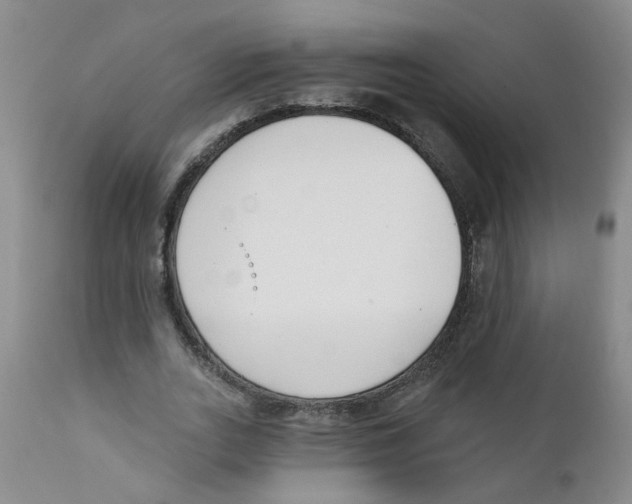 X0000112390727200909101410