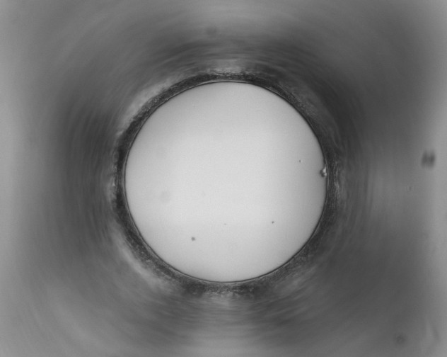 X0000112390728200909101410