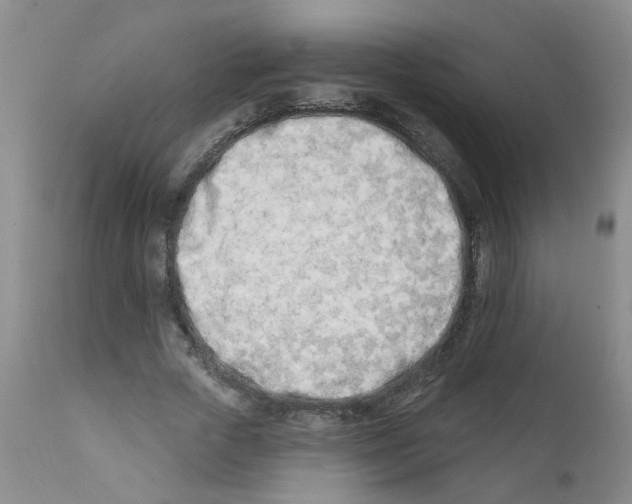 X0000112390729200909101410