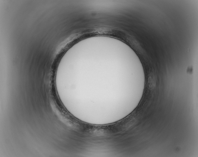X0000112390730200909101410