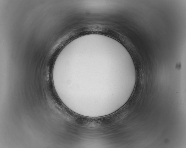 X0000112390731200909101410