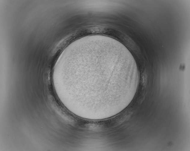 X0000112390733200909101410
