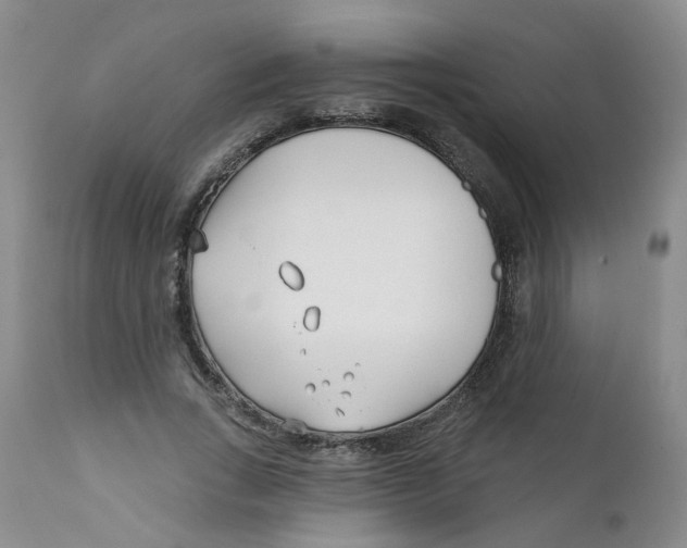 X0000112390735200909101410