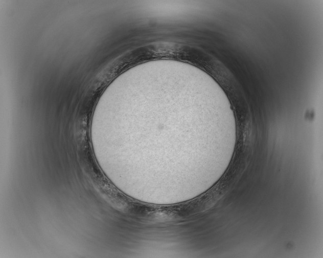 X0000112390737200909101410