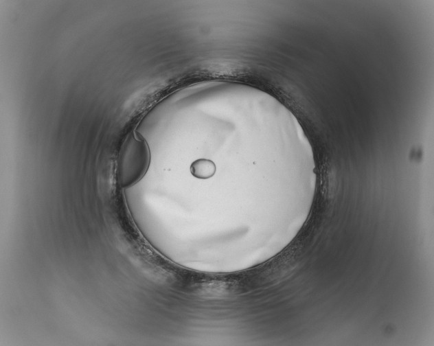 X0000112390740200909101410