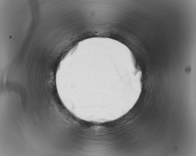 X0000112390748200909101411