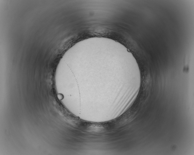 X0000112390749200909101411