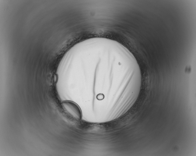 X0000112390750200909101411