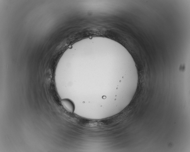 X0000112390752200909101411