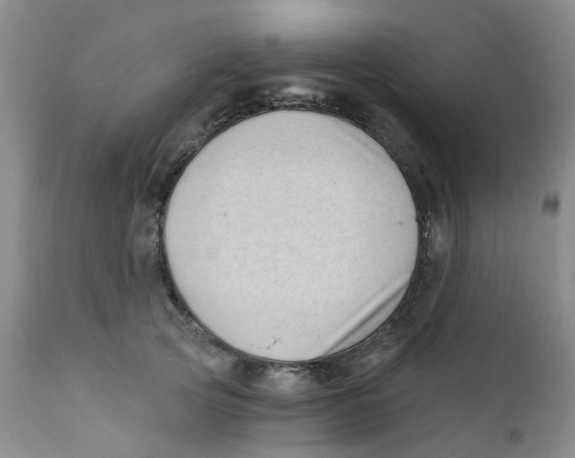 X0000112390753200909101411