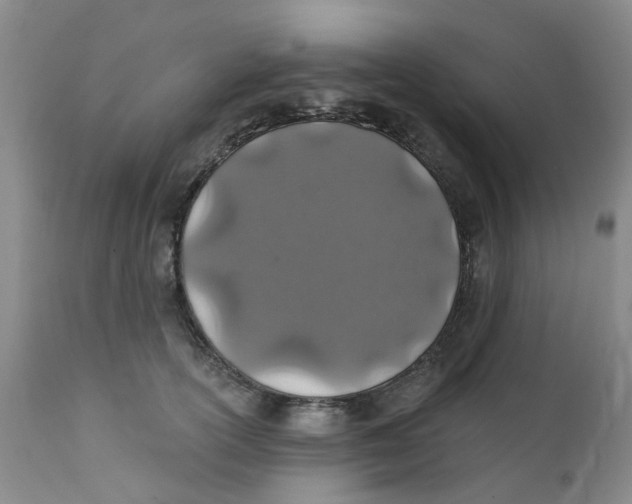 X0000112390754200909101411