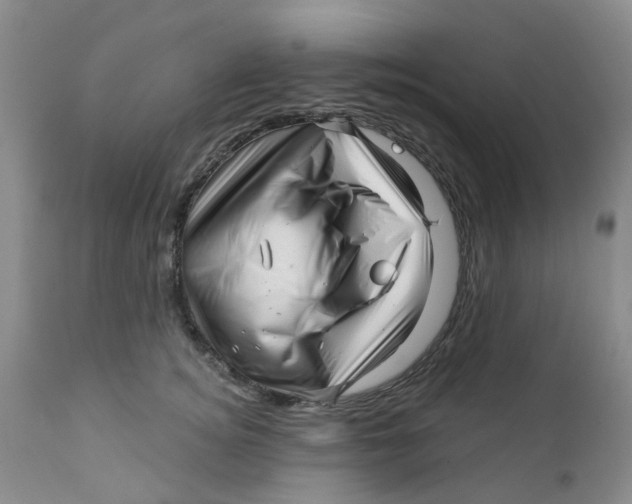 X0000112390756200909101411
