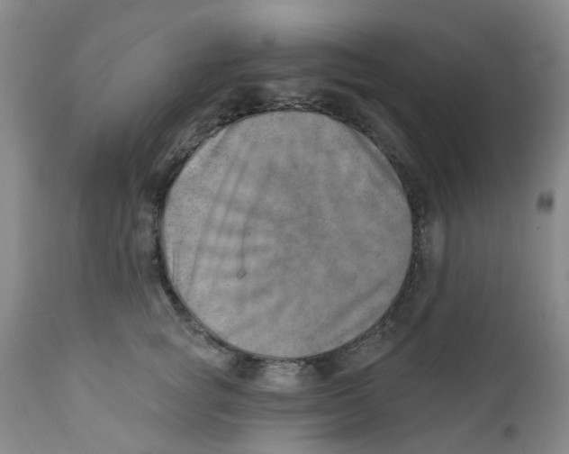 X0000112390757200909101411