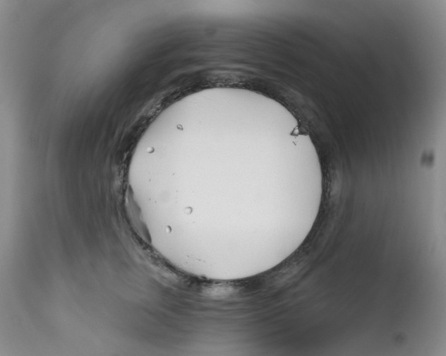 X0000112390759200909101411