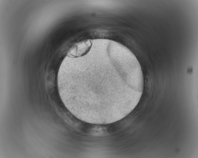 X0000112390760200909101411