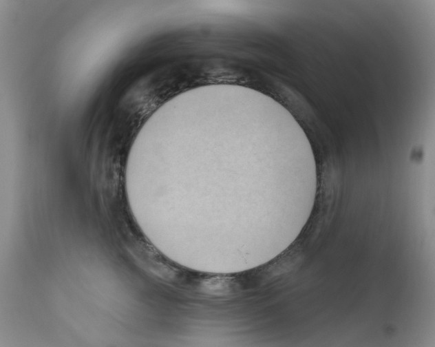 X0000112390761200909101411