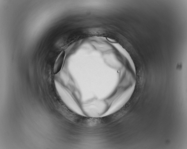 X0000112390762200909101411