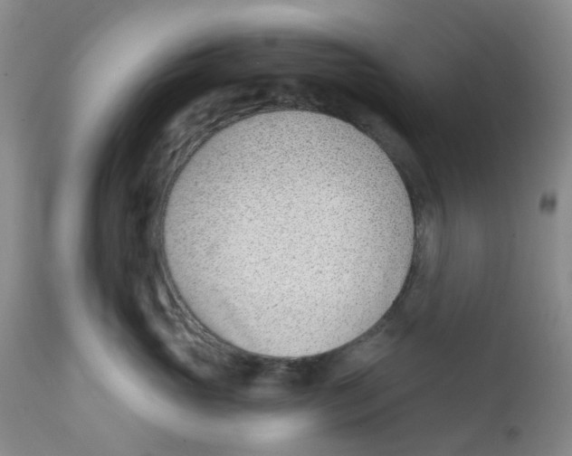 X0000112390765200909101411