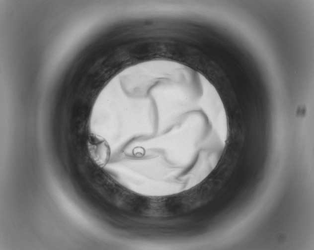 X0000112390766200909101411