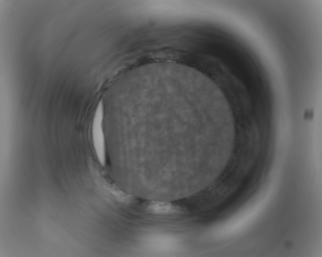 X0000112390767200909101411