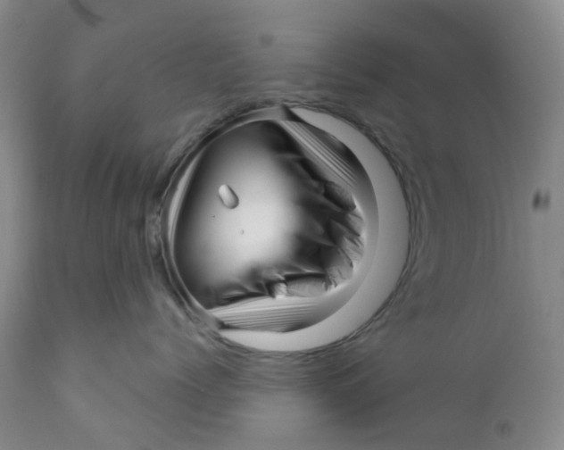 X0000112390768200909101411