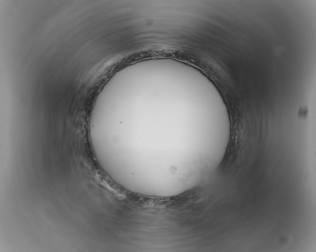 X0000112390773200909101410
