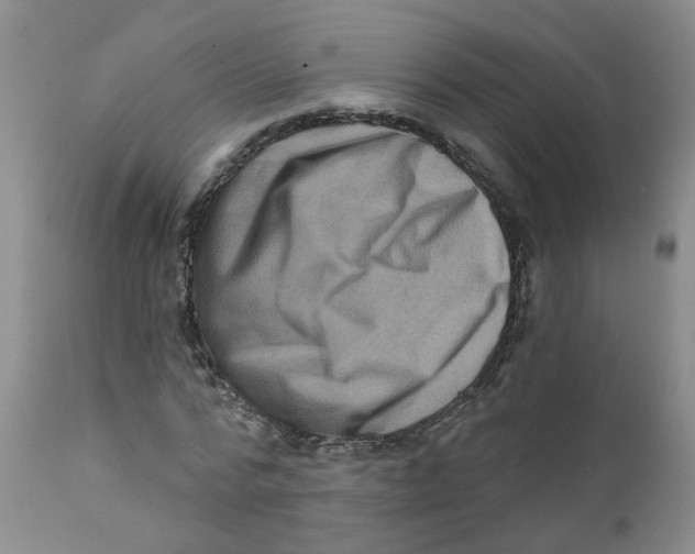 X0000112390776200909101410