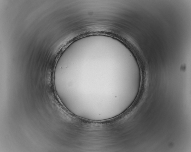 X0000112390777200909101410