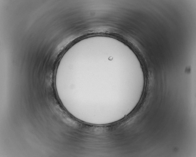 X0000112390778200909101410