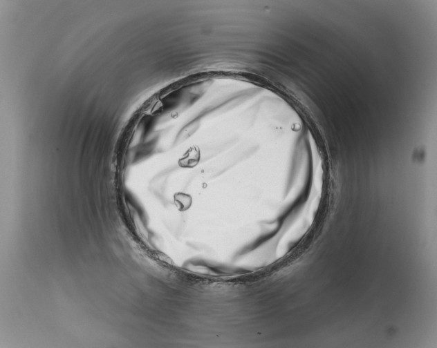 X0000112390779200909101410