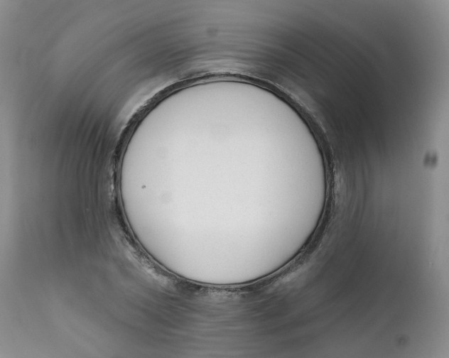 X0000112390782200909101410