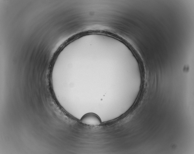 X0000112390783200909101410