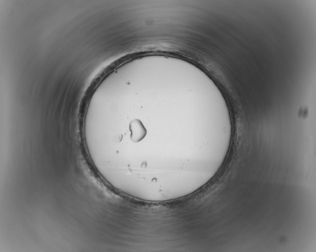 X0000112390784200909101410