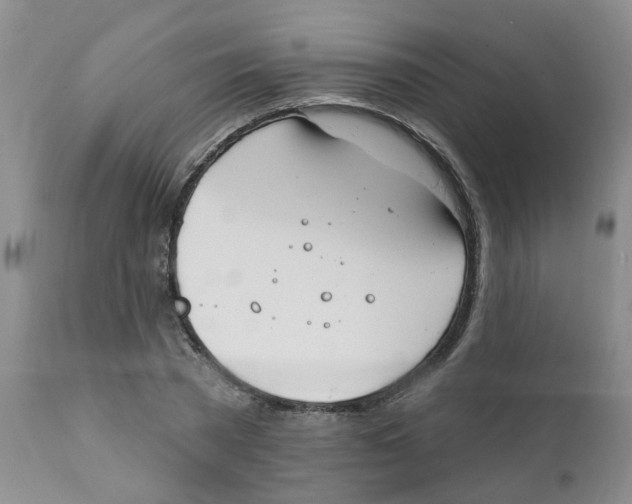 X0000112390785200909101410