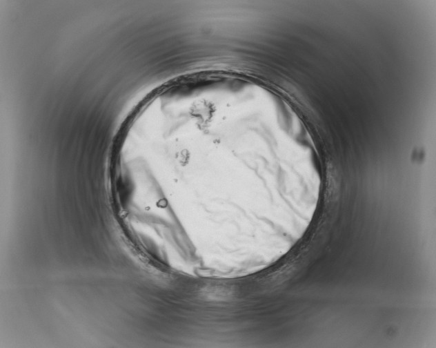 X0000112390788200909101410
