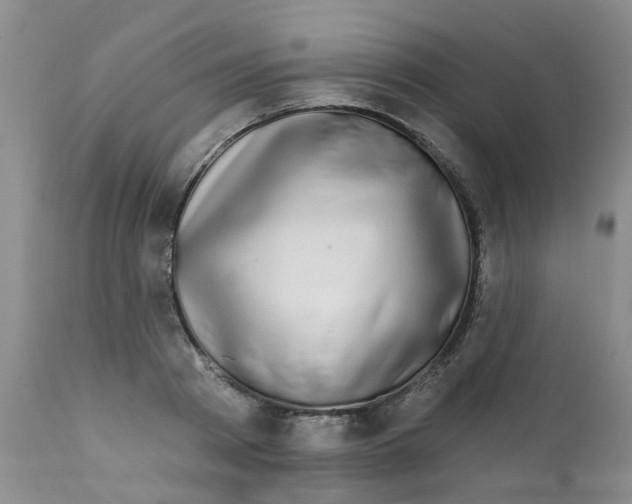X0000112390793200909101410