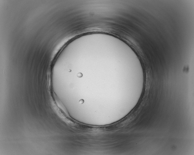 X0000112390796200909101410