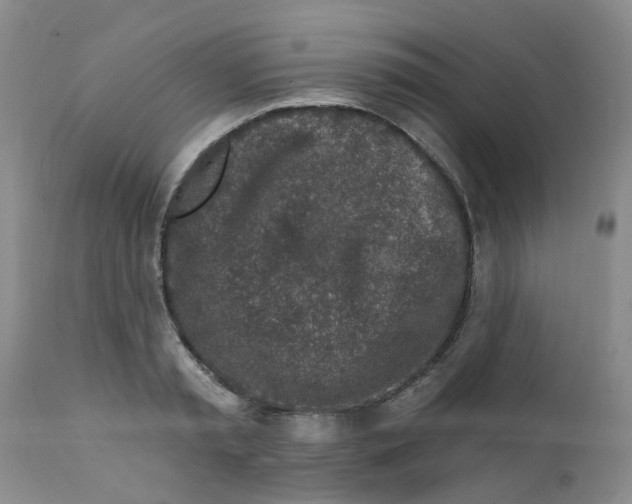 X0000112390797200909101410