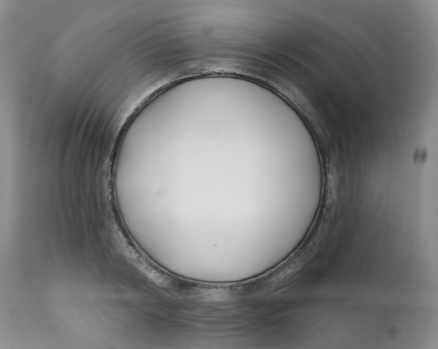 X0000112390798200909101410