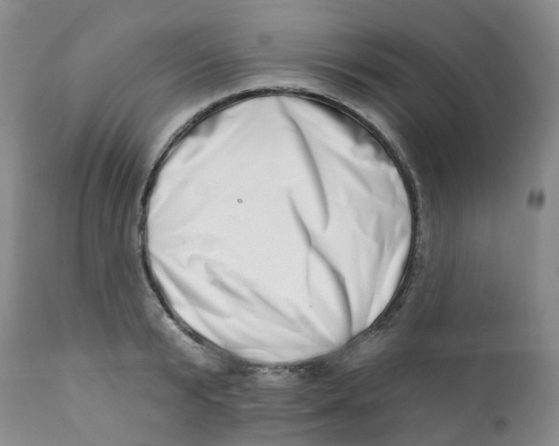 X0000112390799200909101410