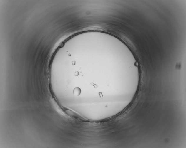 X0000112390800200909101410