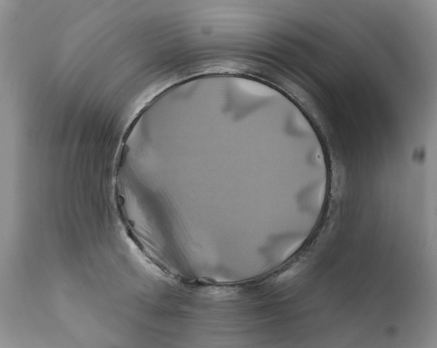 X0000112390802200909101410