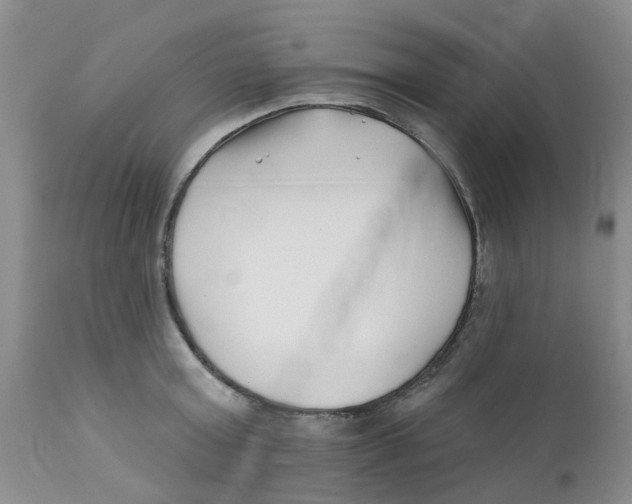 X0000112390803200909101410